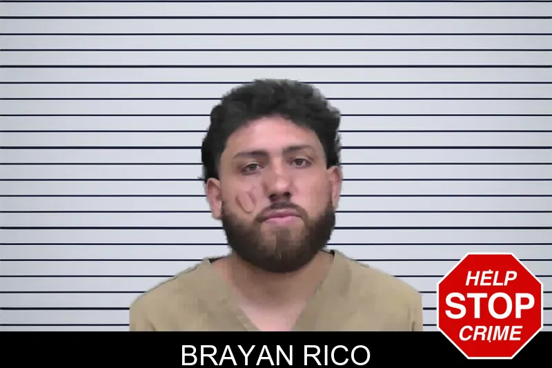 Brayan Rico mugshot