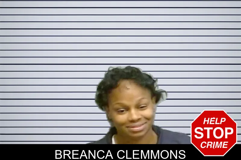 Breanca Clemmons mugshot – Fulton County , Georgia Breanca Clemmons mugshot