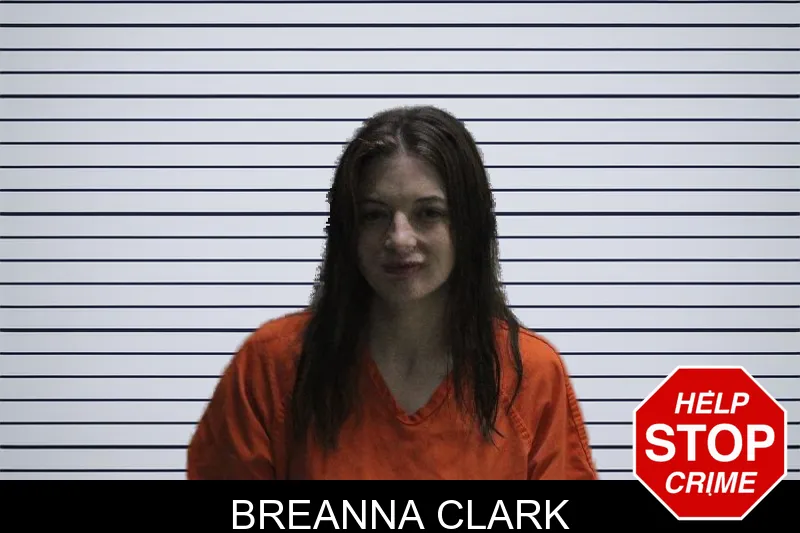 Breanna Clark mugshot – Murray County , Georgia Breanna Clark mugshot