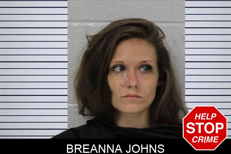 Breanna Johns mugshot