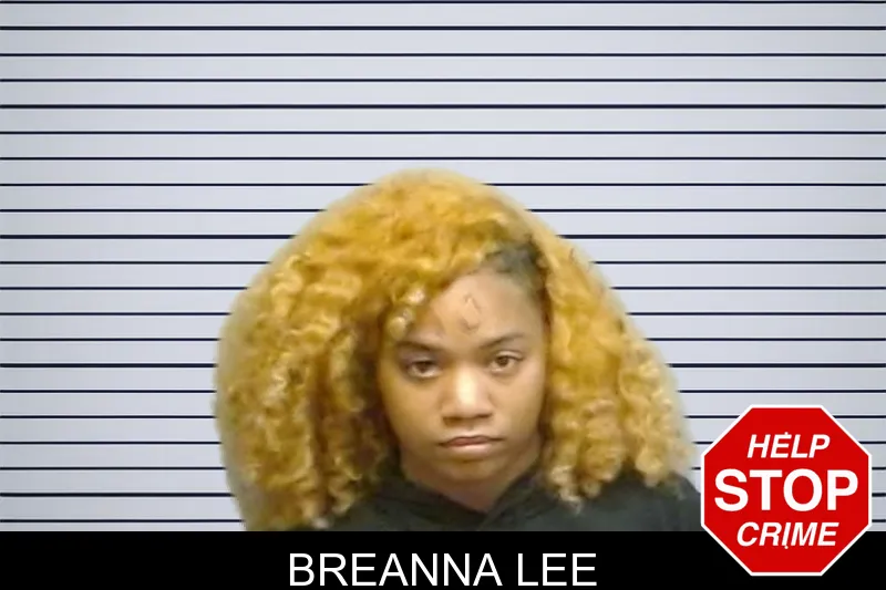 Breanna Lee mugshot – Fulton County , Georgia Breanna Lee mugshot