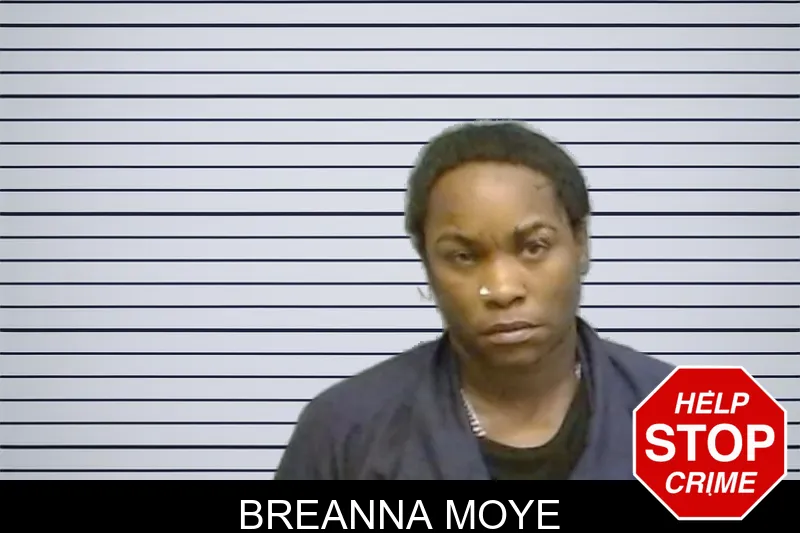 Breanna Moye mugshot – Fulton County , Georgia Breanna Moye mugshot