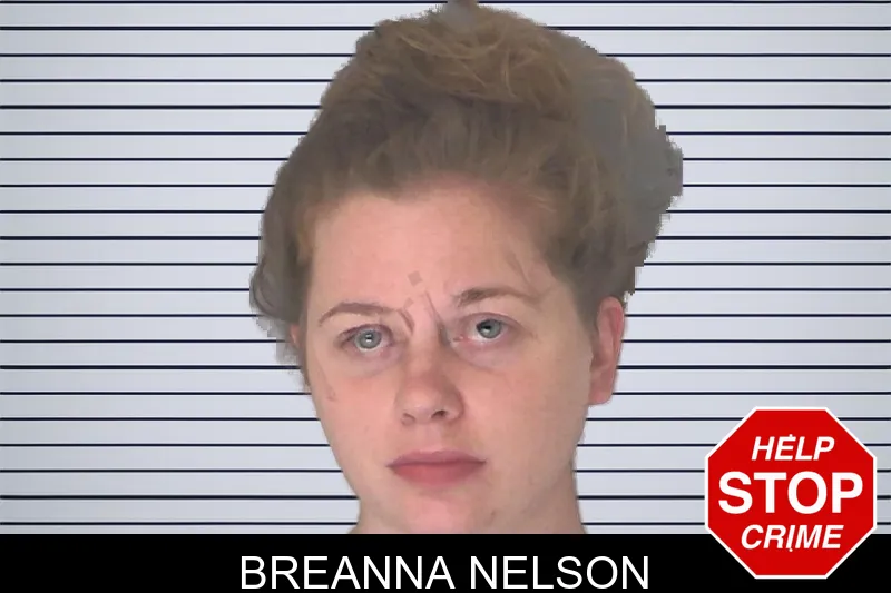 Breanna Nelson mugshot – Douglas County , Georgia Breanna Nelson mugshot