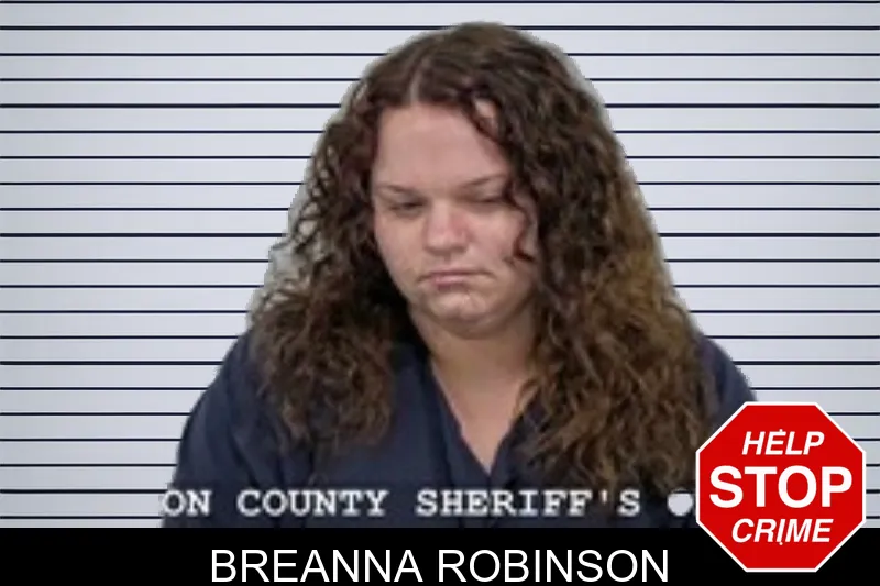 Breanna Robinson mugshot