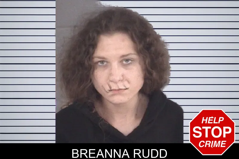 Breanna Rudd mugshot – Spalding County , Georgia Breanna Rudd mugshot