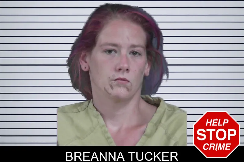 Breanna Tucker mugshot – Gordon County , Georgia Breanna Tucker mugshot