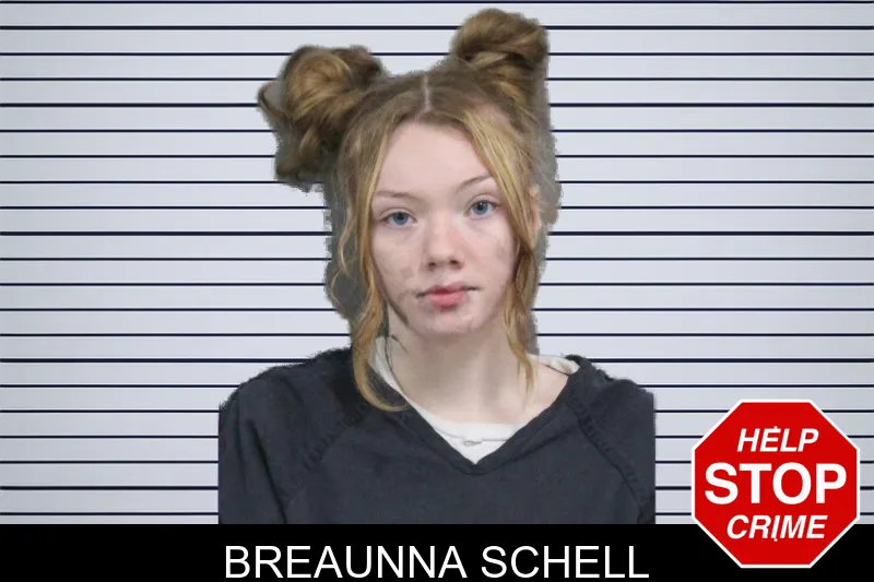 Breaunna Schell mugshot – Catoosa County , Georgia Breaunna Schell mugshot