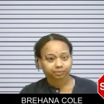 Brehana Cole mugshot – Fulton County , Georgia Brehana Cole mugshot