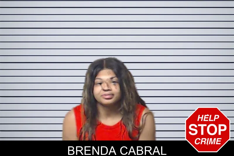 Brenda Cabral mugshot – DeKalb County , Georgia Brenda Cabral mugshot