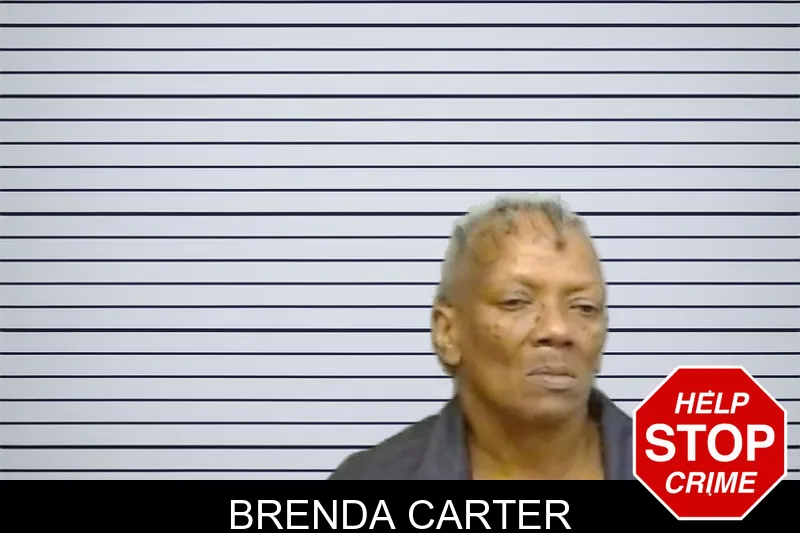 Brenda Carter mugshot – Fulton County , Georgia Brenda Carter mugshot