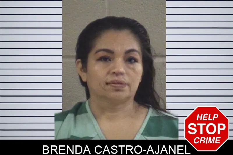 Brenda Castro-Ajanel mugshot – Whitfield County , Georgia Brenda Castro-Ajanel mugshot