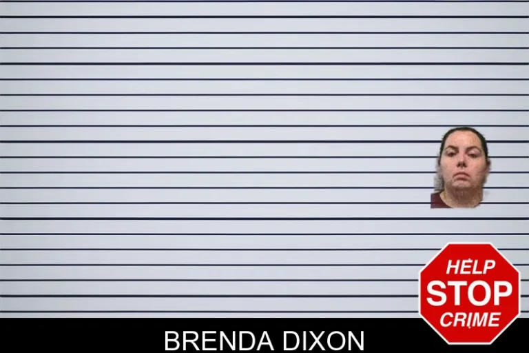 Brenda Dixon mugshot – Ware County , Georgia Brenda Dixon