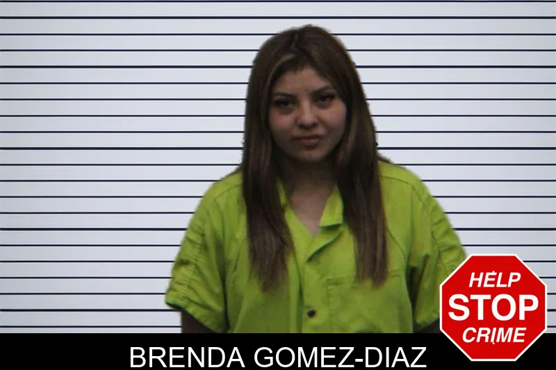 Brenda Gomez-Diaz mugshot – Turner County , Georgia Brenda Gomez-Diaz mugshot