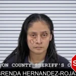 Brenda Hernandez-Rojas mugshot
