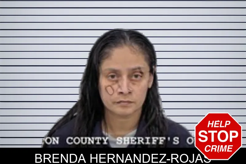 Brenda Hernandez-Rojas mugshot – Walton County , Georgia Brenda Hernandez-Rojas mugshot