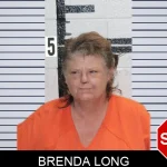 Brenda Long mugshot