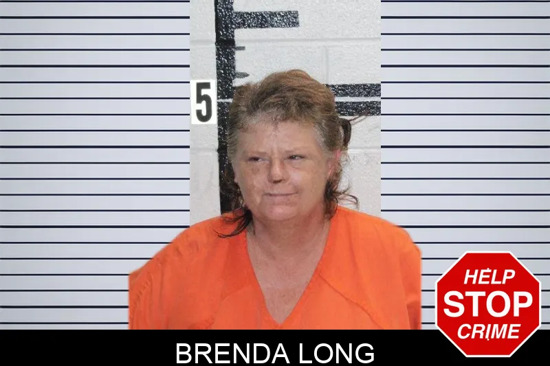 Brenda Long mugshot – Murray County , Georgia Brenda Long mugshot