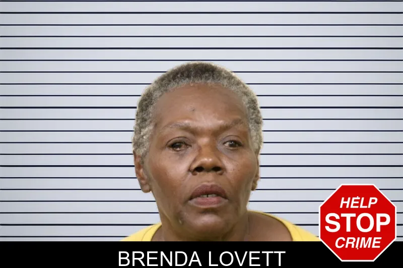 Brenda Lovett mugshot – Bulloch County , Georgia Brenda Lovett mugshot