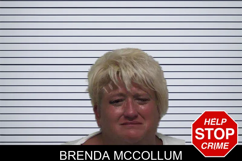 Brenda McCollum mugshot – Laurens County , Georgia Brenda McCollum mugshot