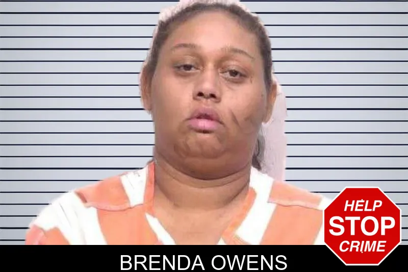 Brenda Owens mugshot – Bartow County , Georgia Brenda Owens mugshot