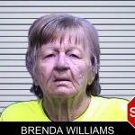 Brenda Williams mugshot