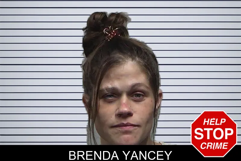 Brenda Yancey mugshot – Tift County , Georgia Brenda Yancey mugshot