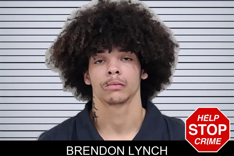 Brendon Lynch mugshot – Lowndes County , Georgia Brendon Lynch mugshot