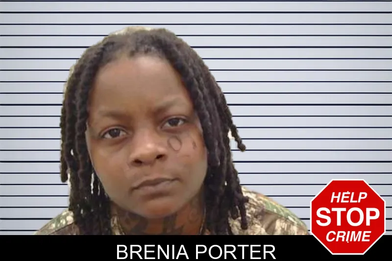 Brenia Porter mugshot – Peach County , Georgia Brenia Porter mugshot