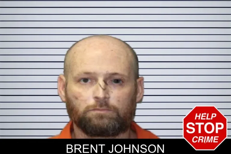 Brent Johnson mugshot – Ware County , Georgia Brent Johnson
