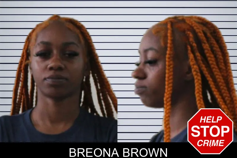Breona Brown mugshot – Houston County , Georgia Breona Brown mugshot