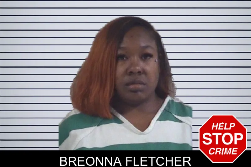 Breonna Fletcher mugshot – Whitfield County , Georgia Breonna Fletcher mugshot