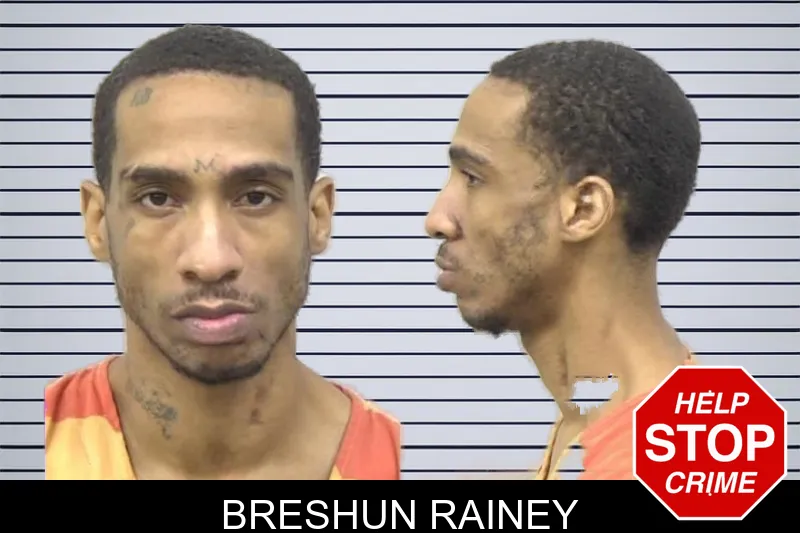 Breshun Rainey mugshot – Paulding County , Georgia Breshun Rainey mugshot