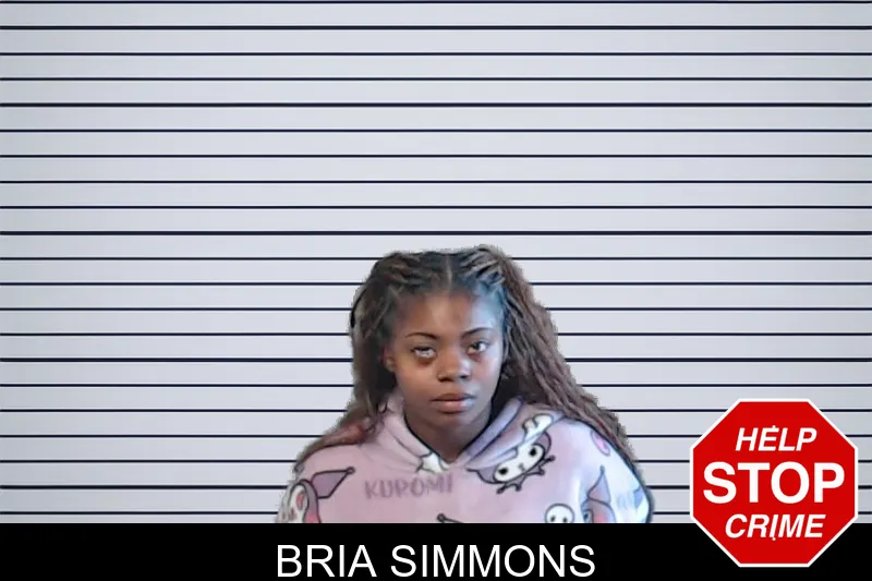 Bria Simmons mugshot – DeKalb County , Georgia Bria Simmons mugshot