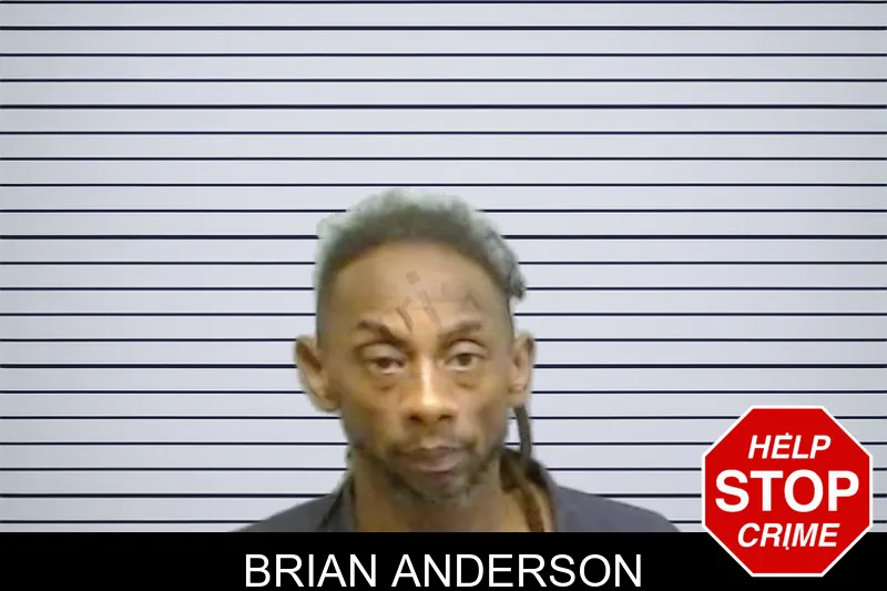 Brian Anderson mugshot – Fulton County , Georgia Brian Anderson mugshot