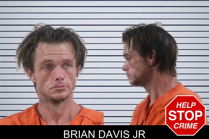 Brian Davis Jr mugshot – Houston County , Georgia Brian Davis Jr mugshot