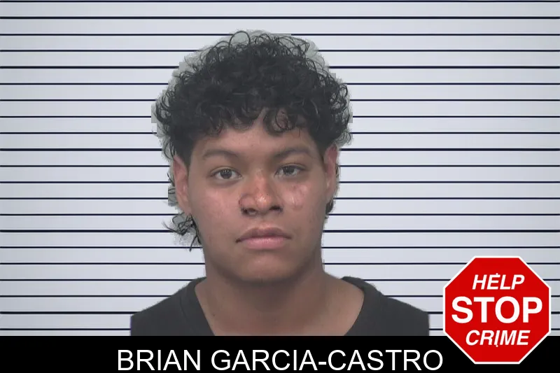 Brian Garcia-Castro mugshot – Gwinnett County , Georgia Brian Garcia-Castro mugshot