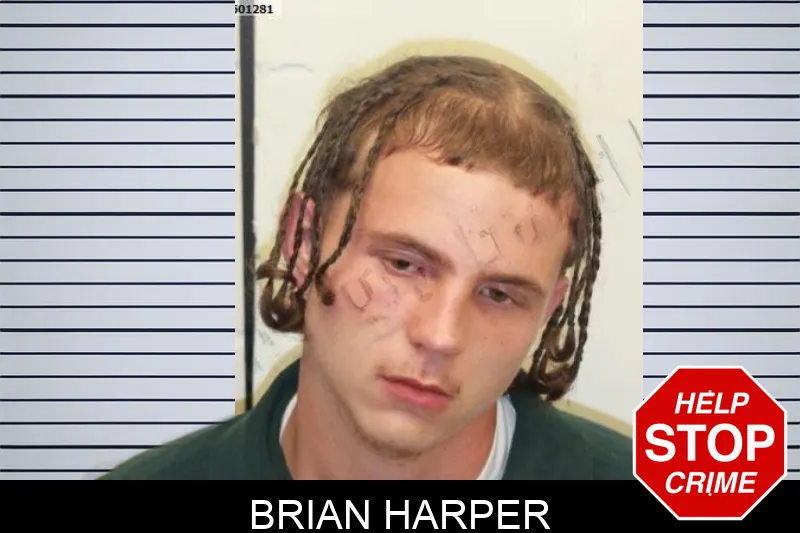 Brian Harper mugshot – Chatham County , Georgia Brian Harper mugshot