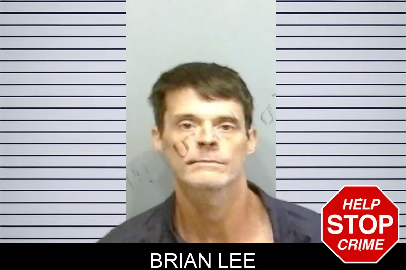 Brian Lee mugshot – Fulton County , Georgia Brian Lee mugshot