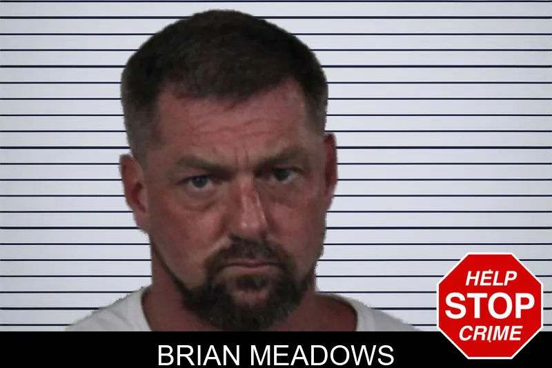 Brian Meadows mugshot – Lamar County , Georgia Brian Meadows mugshot