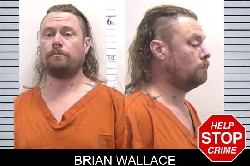 Brian Wallace mugshot – Clarke County , Georgia Brian Wallace mugshot