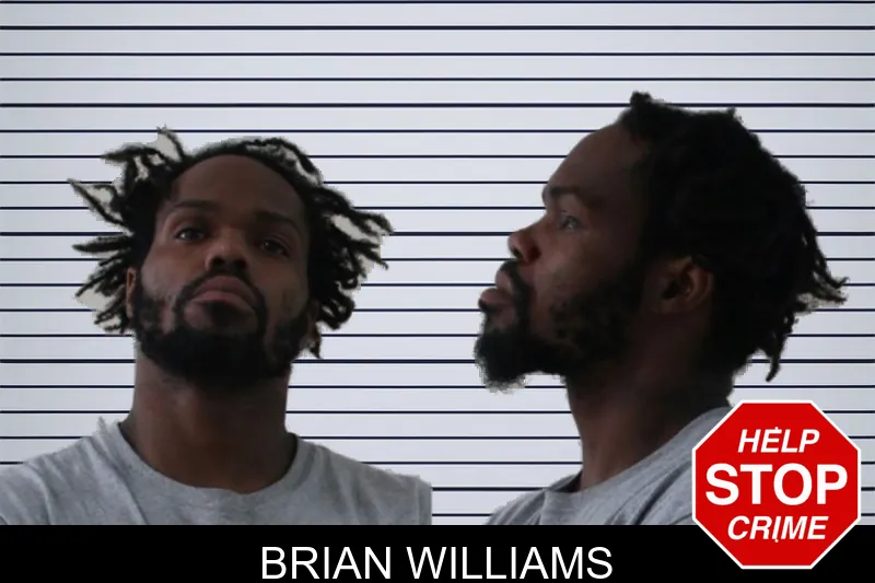 Brian Williams mugshot – Houston County , Georgia Brian Williams mugshot