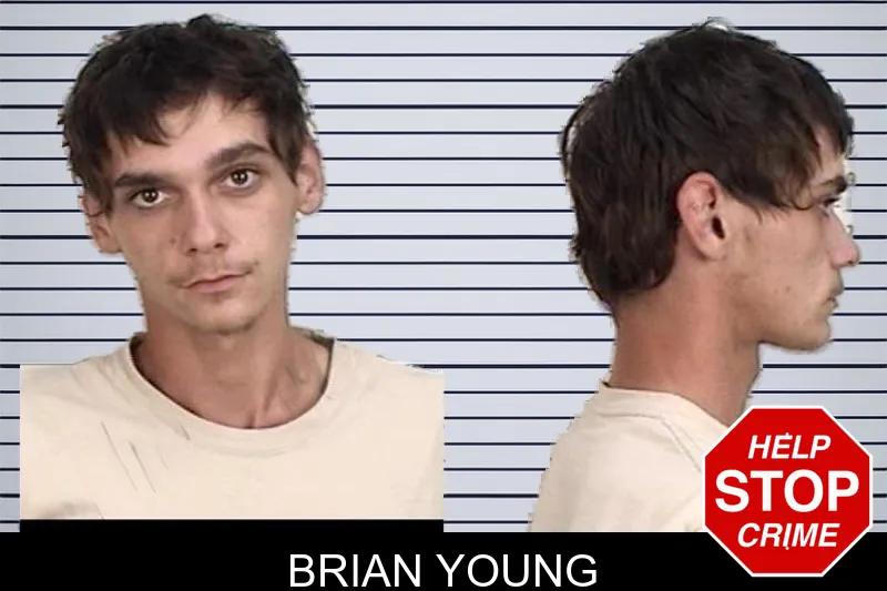 Brian Young mugshot