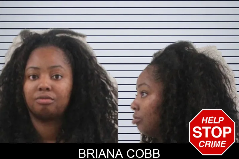 Briana Cobb mugshot