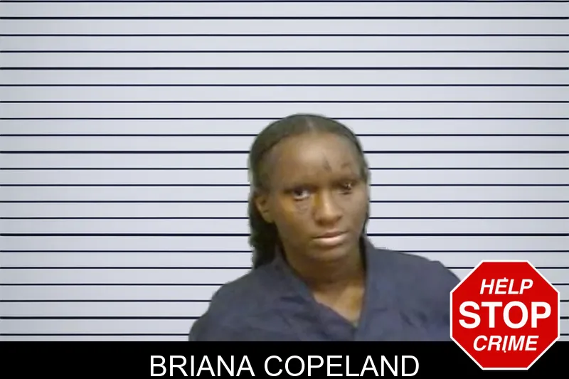Briana Copeland mugshot – Fulton County , Georgia Briana Copeland mugshot
