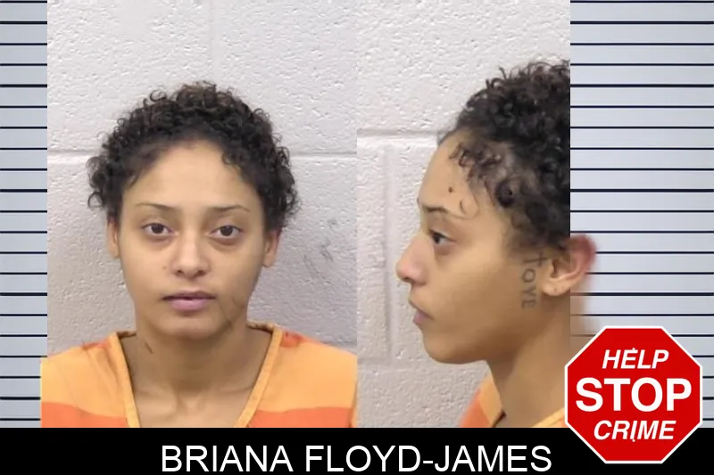 Briana Floyd-James mugshot – Paulding County , Georgia Briana Floyd-James mugshot