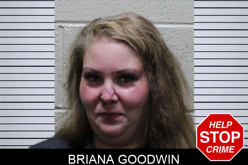 Briana Goodwin mugshot – Haralson County , Georgia Briana Goodwin mugshot