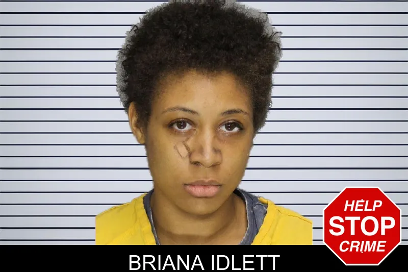 Briana Idlett mugshot – Cobb County , Georgia Briana Idlett mugshot