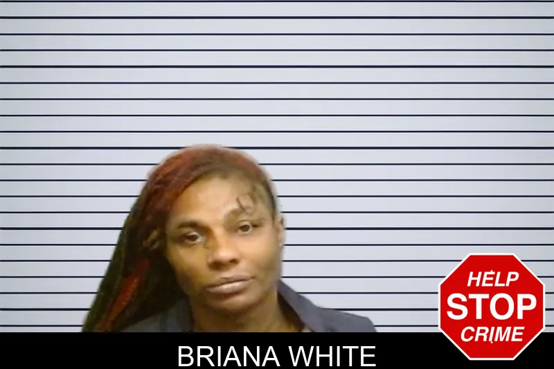 Briana White mugshot – Fulton County , Georgia Briana White mugshot