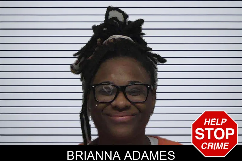 Brianna Adames mugshot – Laurens County , Georgia Brianna Adames mugshot