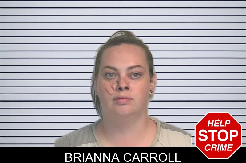 Brianna Carroll mugshot – Berrien County , Georgia Brianna Carroll mugshot